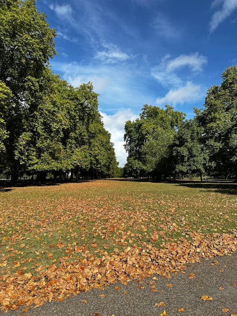 A broad, open park area with a wide, grassy central space bordered by tall deciduous trees on both sides. The trees have dense green foliage, with some leaves beginning to change colour, indicating autumn. A large accumulation of fallen leaves in shades of orange, yellow, and brown is spread across the grass along the foreground, with some scattered onto a paved pathway at the edge of the scene. The bright blue sky overhead is partially clouded with wispy white clouds, suggesting clear weather. The scene is natural and well-maintained, typical of outdoor spaces where rubbish removal may include clearing fallen leaves or debris. This environment could be associated with private or independent waste handling options managed by local services to keep public parks tidy, in addition to regular council rubbish collection. The overall composition highlights the importance of managing outdoor waste and natural debris in urban green spaces, relevant to the context of rubbish and waste disposal services.